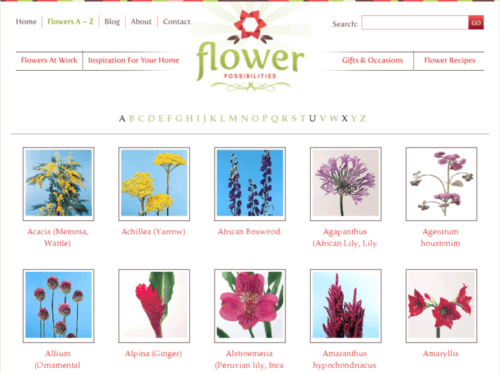 www.flowerencyclopedia.net