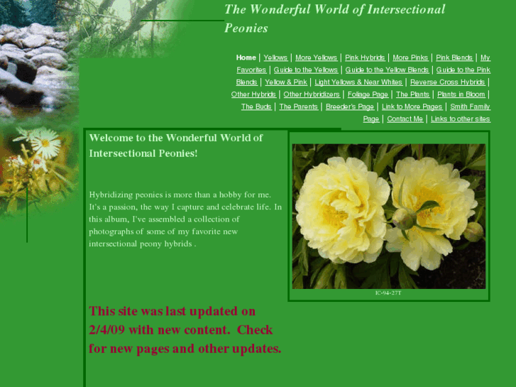 www.i-hybridpeonies.com