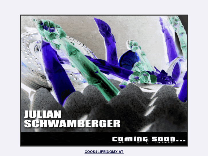 www.julianschwamberger.com