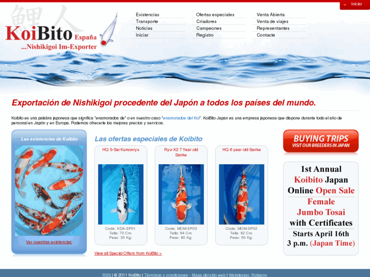 www.koibito-spain.com