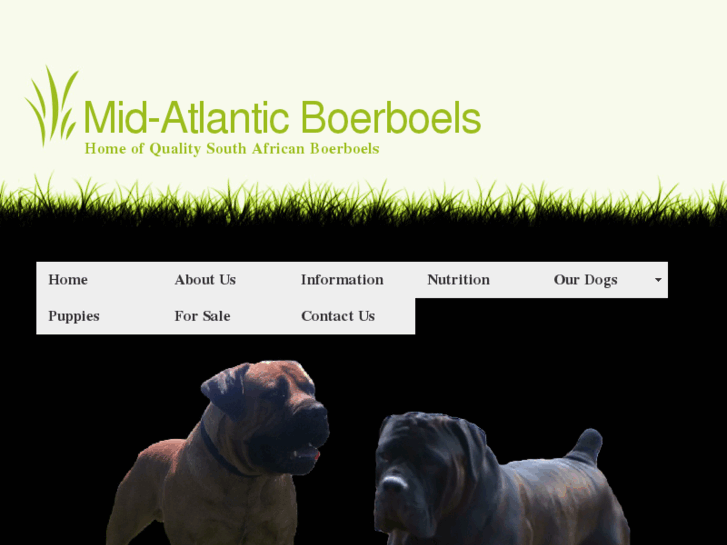 www.maboerboels.com