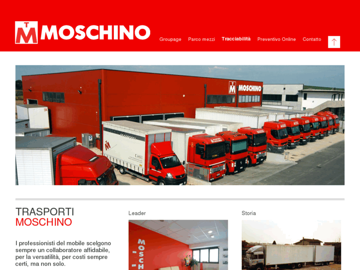 www.moschinoit.com