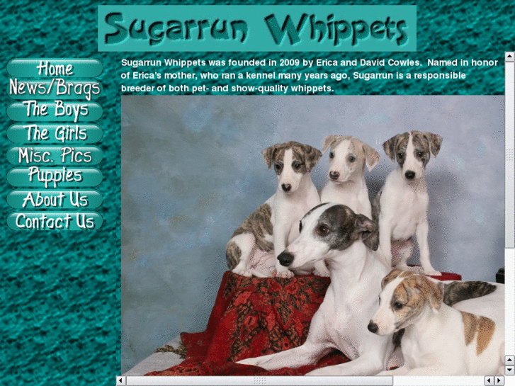 www.sugarrunwhippets.com