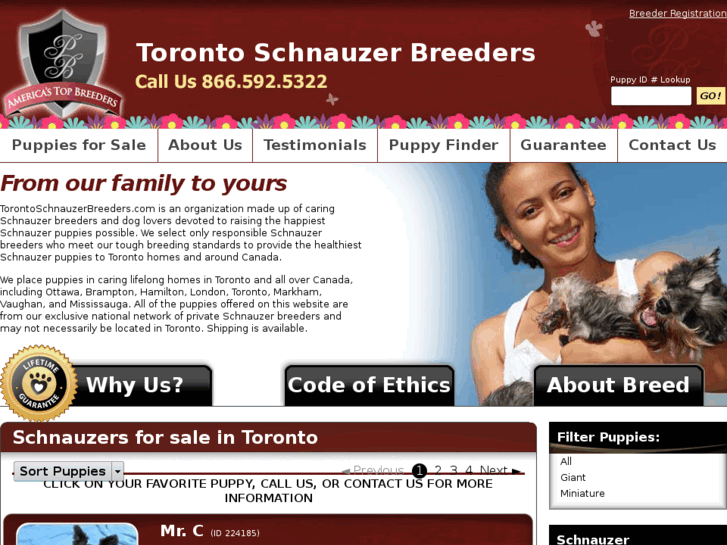 www.torontoschnauzerbreeders.com