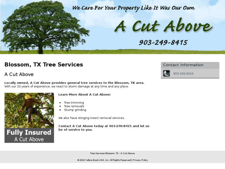 www.treeserviceparistx.com