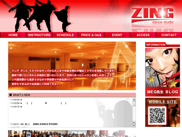 www.zing-ds.net