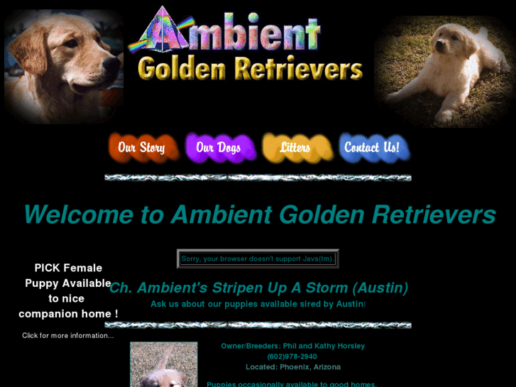 www.ambientgoldens.com