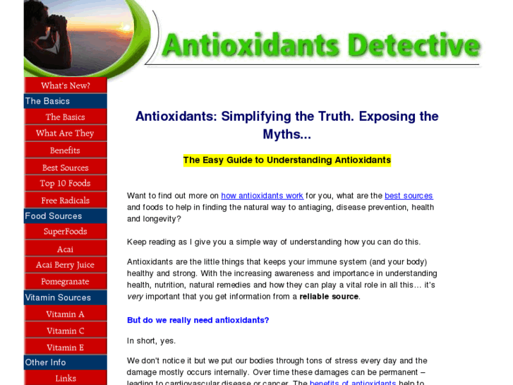 www.antioxidentsdetective.com