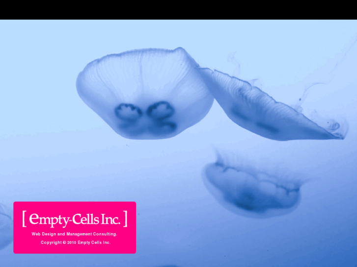 www.empty-cells.com