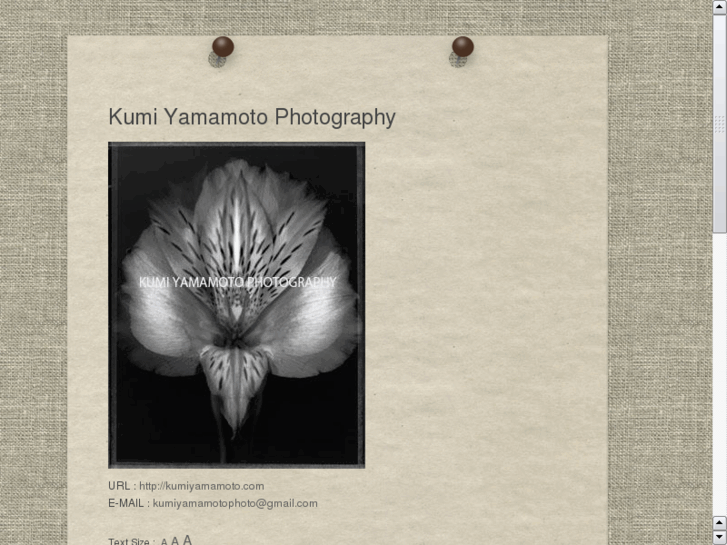 www.kumiyamamoto.com