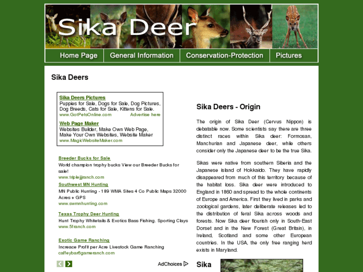www.sika-deer.com