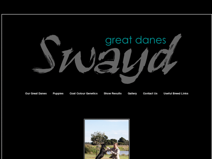 www.swayd.com.au