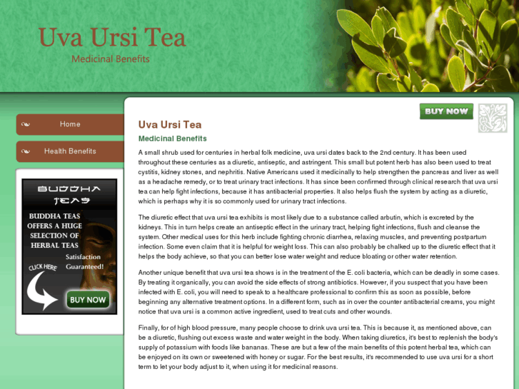 www.uvaursi.net