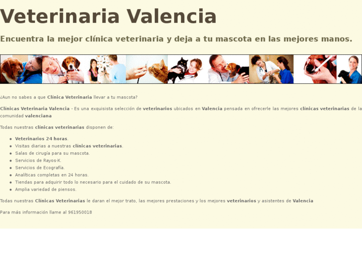 www.veterinariavalencia.es