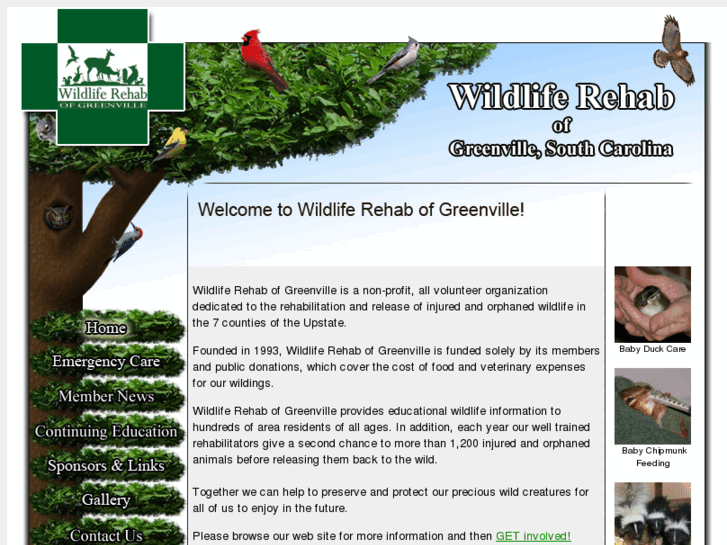 www.wildlife-rehab.com