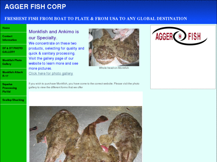 www.aggerfish.net