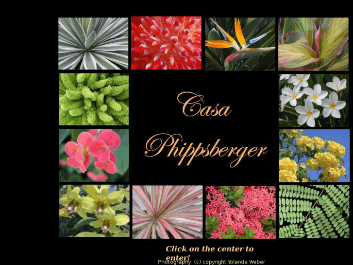 www.casaphippsberger.org