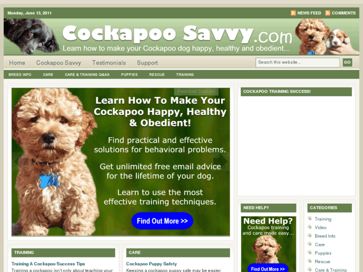 www.cockapoosavvy.com