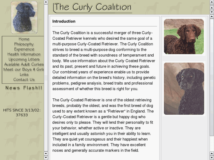 www.curly-coatedretrievers.com