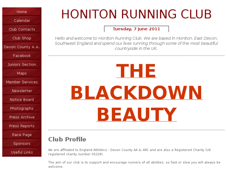 www.honitonrc.com