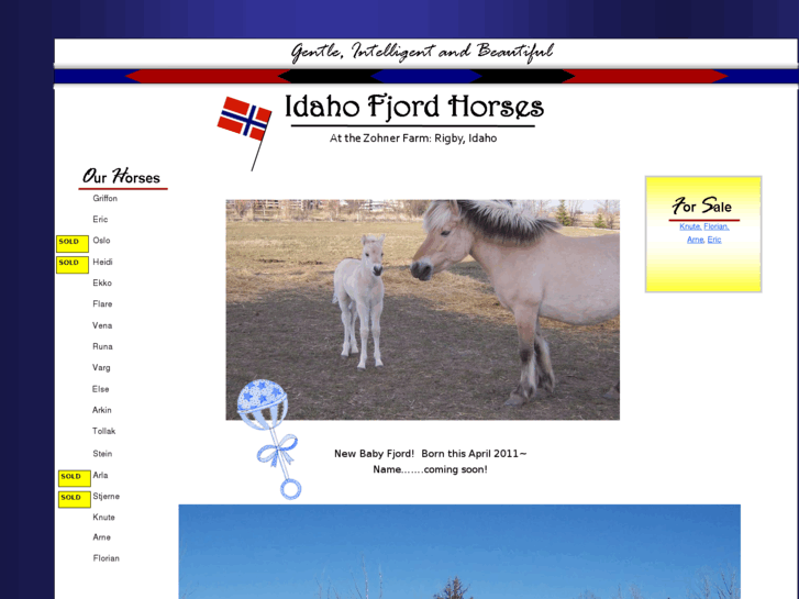 www.idahofjordhorses.com