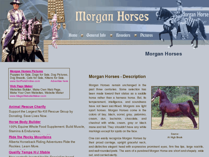 www.morgan-horses.org