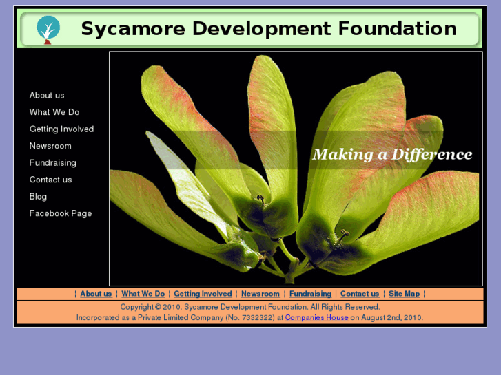 www.sycamore-foundation.org