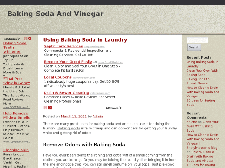 www.bakingsodaandvinegar.net