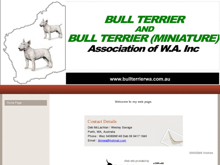 www.bullterrierwa.com