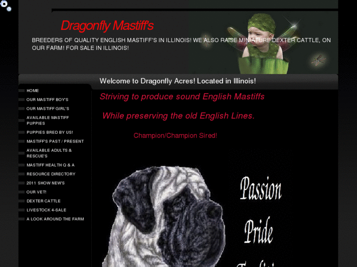 www.dragonflyacres.us