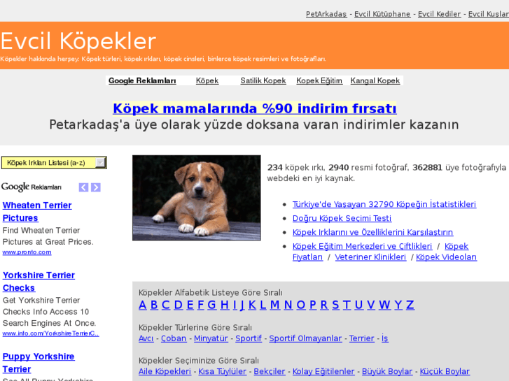 www.evcilkopekler.com