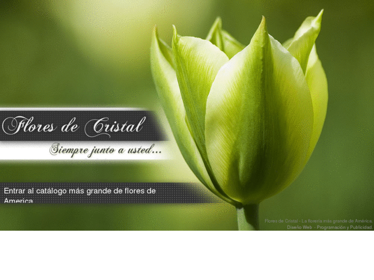 www.floresdecristal.com