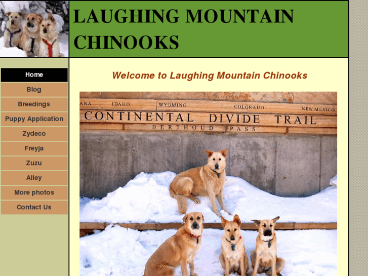 www.laughingmountainchinooks.com