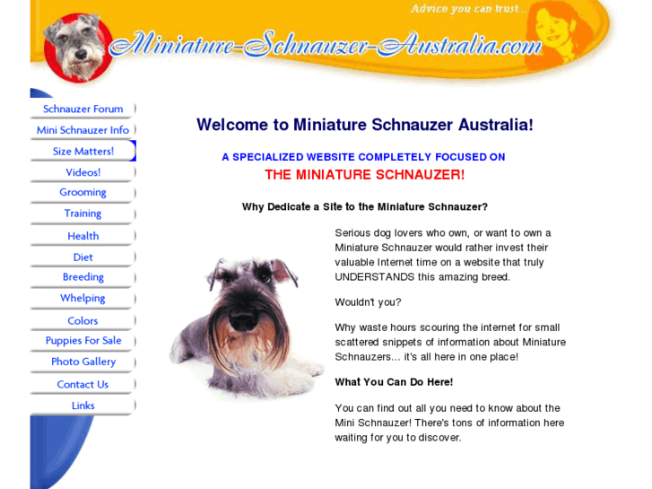 www.miniature-schnauzer-australia.com