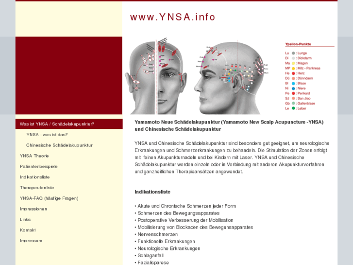 www.ynsa.info