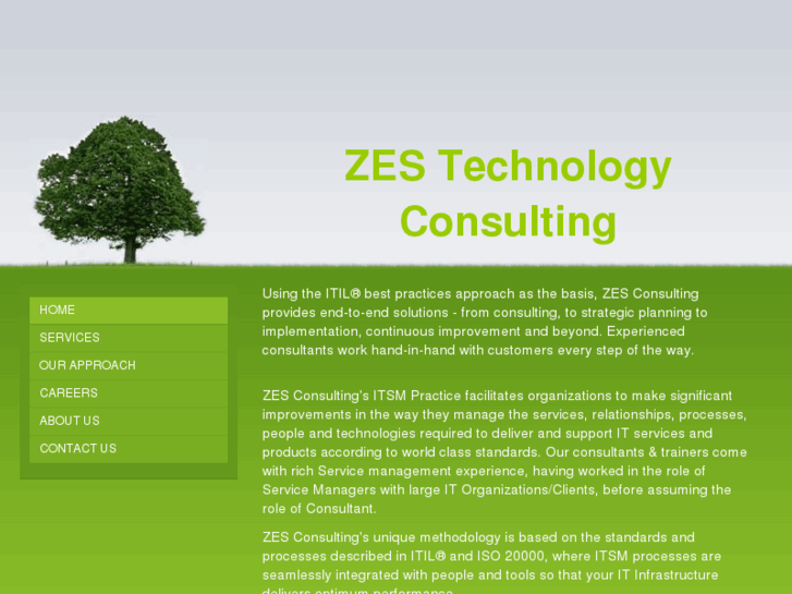 www.zesconsulting.com