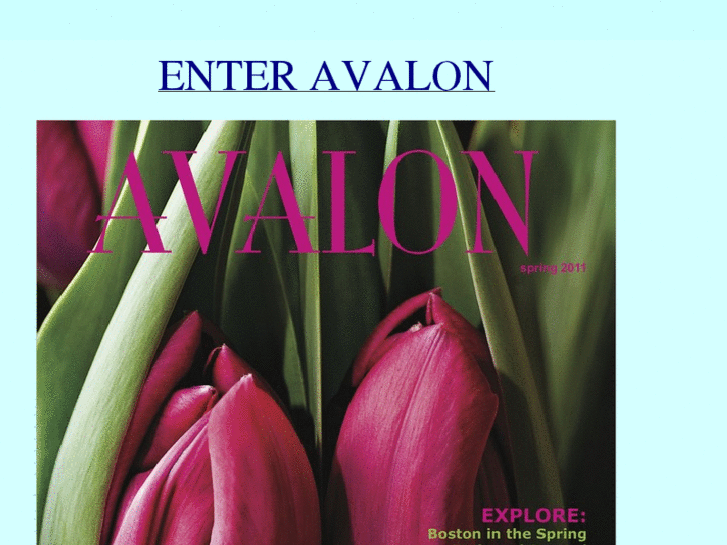 www.avalonmag.com