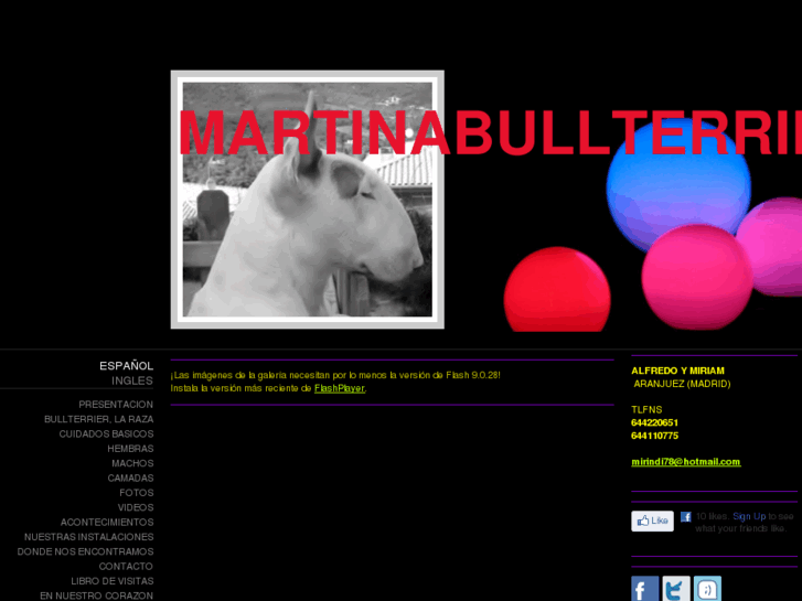 www.martinabullterrier.com