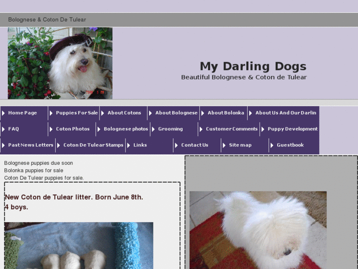 www.mydarlingdogs.com