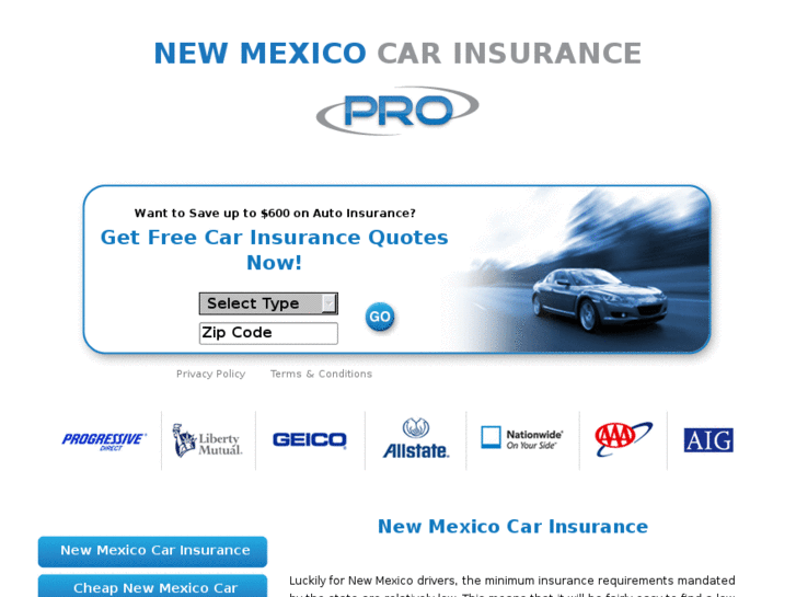 www.newmexicocarinsurancepro.com