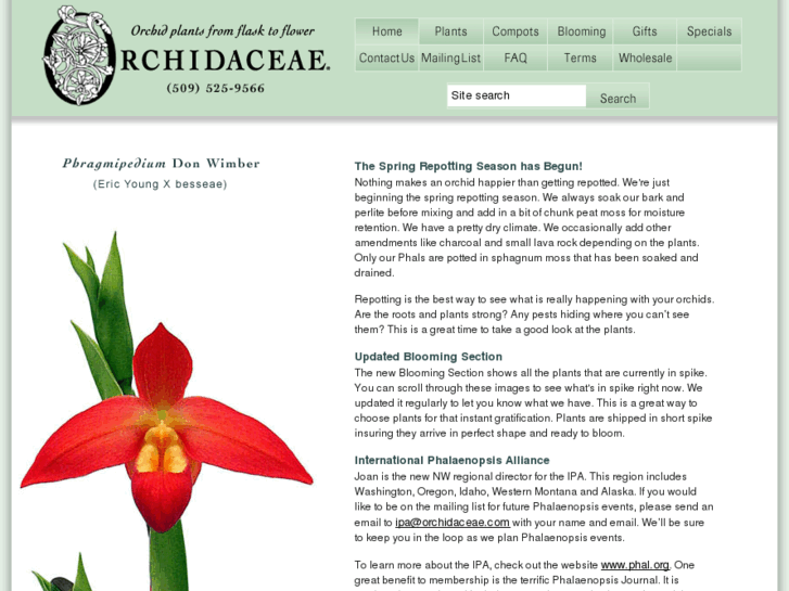 www.orchidaceae.com