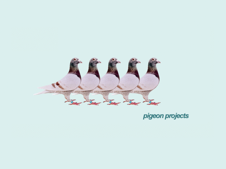 www.pigeonprojects.com