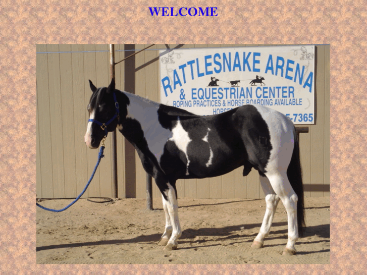 www.rattlesnakearena.com