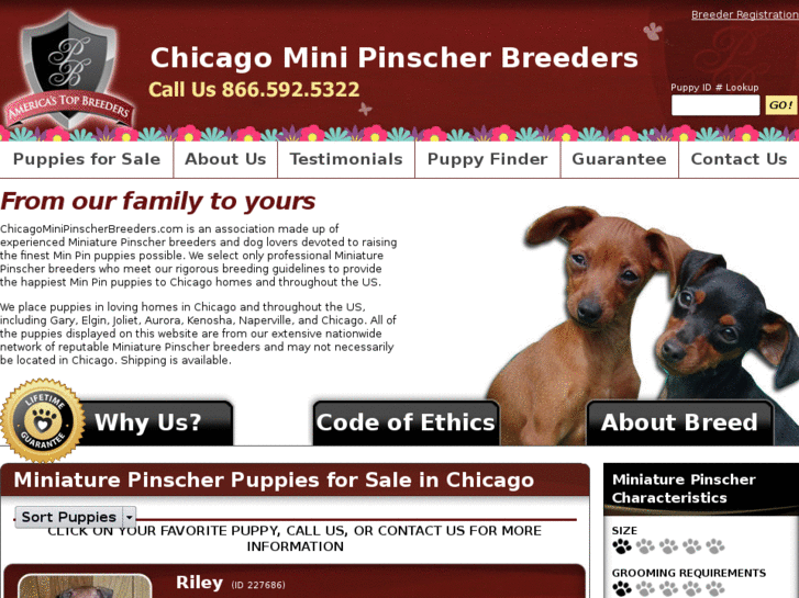 www.chicagominipinscherbreeders.com