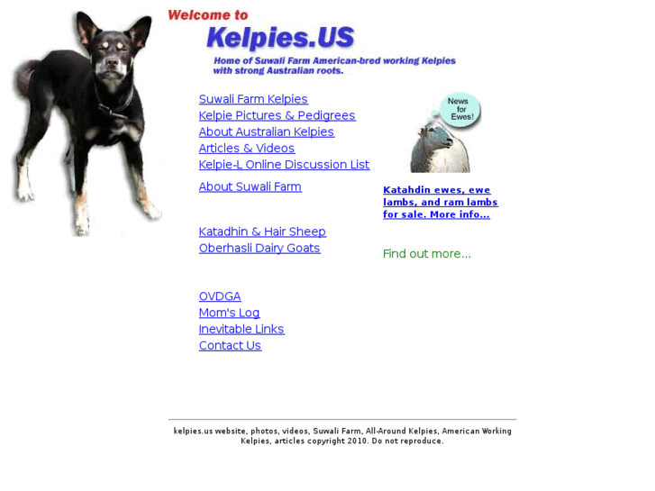 www.kelpies.us