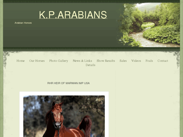 www.kparabians.com