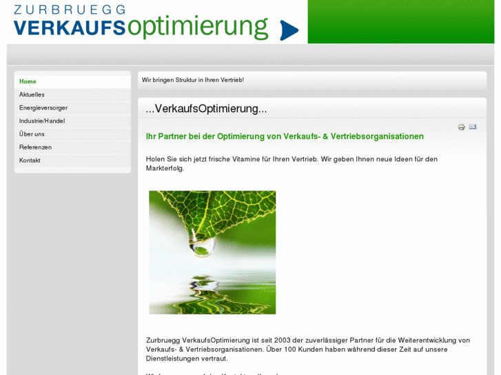 www.verkaufsoptimierung.ch