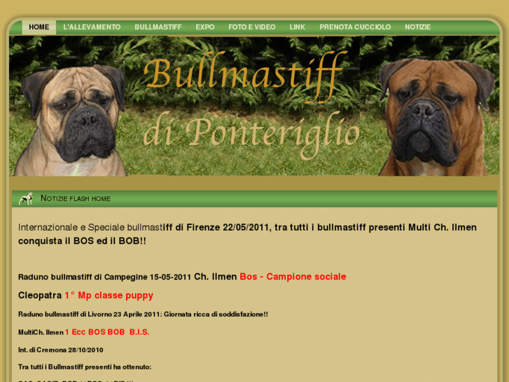 www.bullmastiffdiponteriglio.it