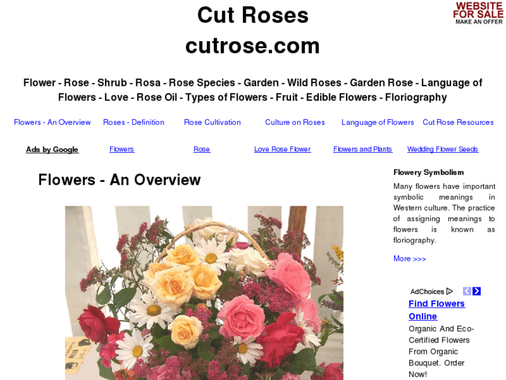 www.cutrose.com