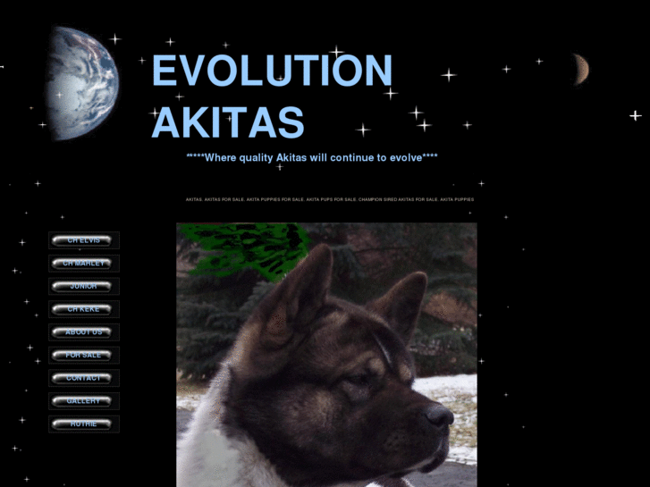 www.evolutionakitas.com